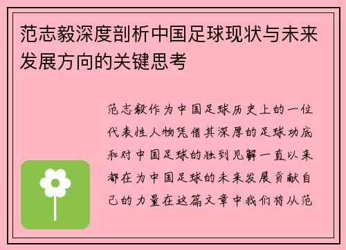范志毅深度剖析中国足球现状与未来发展方向的关键思考