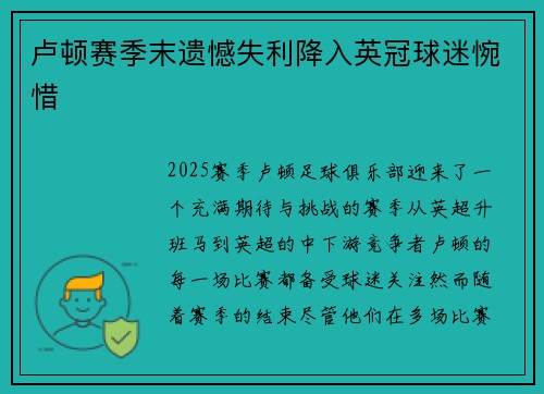 卢顿赛季末遗憾失利降入英冠球迷惋惜